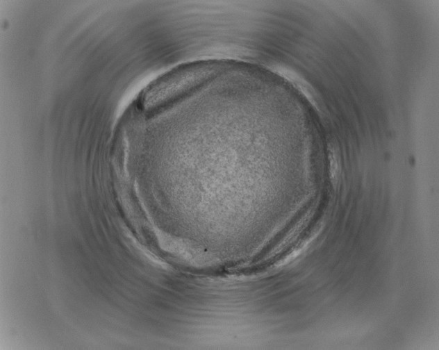 X0000076081069200610152247