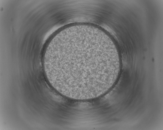 X0000076081070200610152247