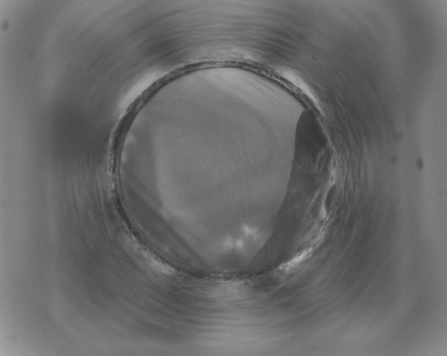 X0000076081071200610152247