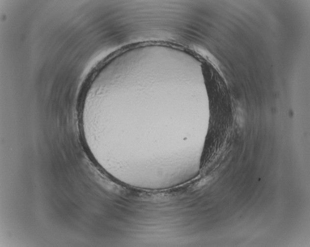 X0000076081072200610152247