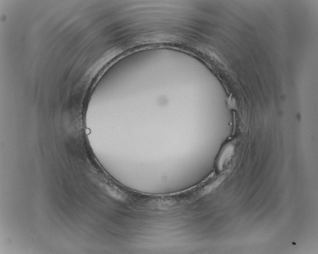 X0000076081073200610152247