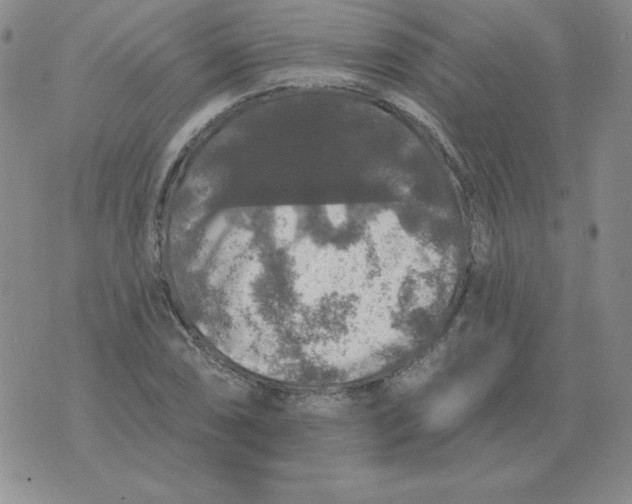 X0000076081074200610152247