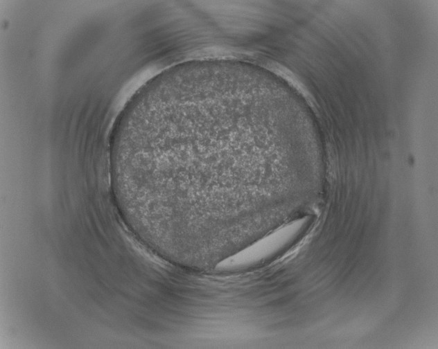 X0000076081075200610152247