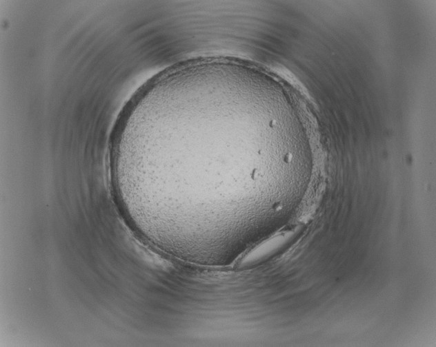 X0000076081076200610152247