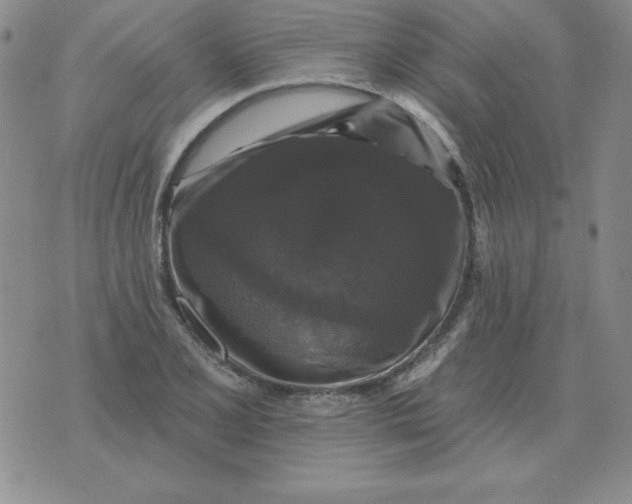 X0000076081077200610152247