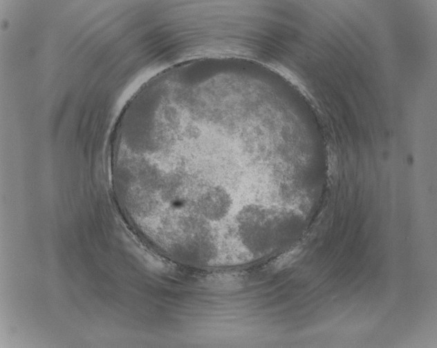 X0000076081078200610152247