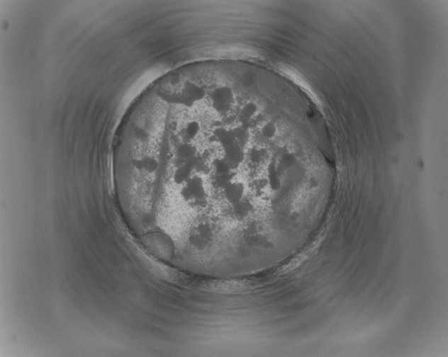 X0000076081079200610152247