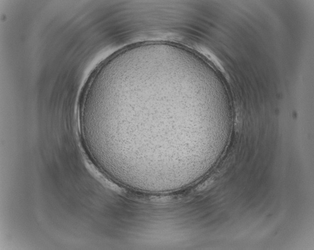 X0000076081080200610152247