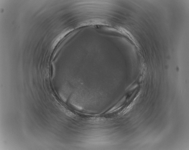 X0000076081081200610152247