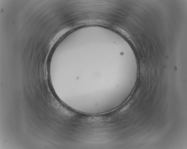 X0000076081082200610152247