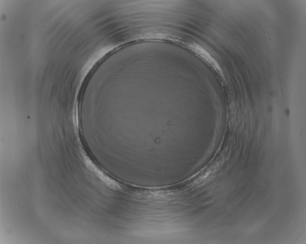 X0000076081084200610152247