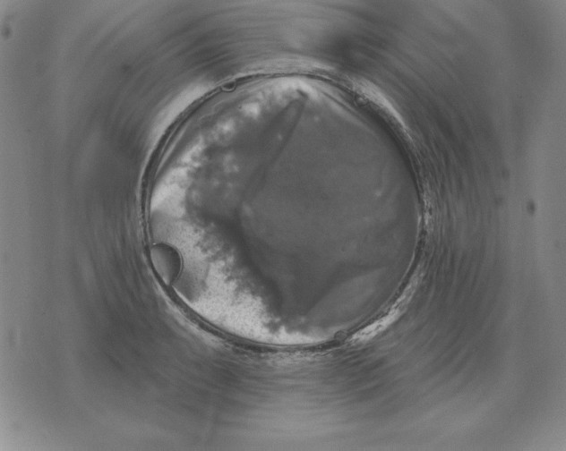 X0000076081087200610152247