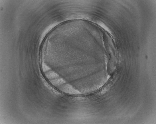 X0000076081088200610152247