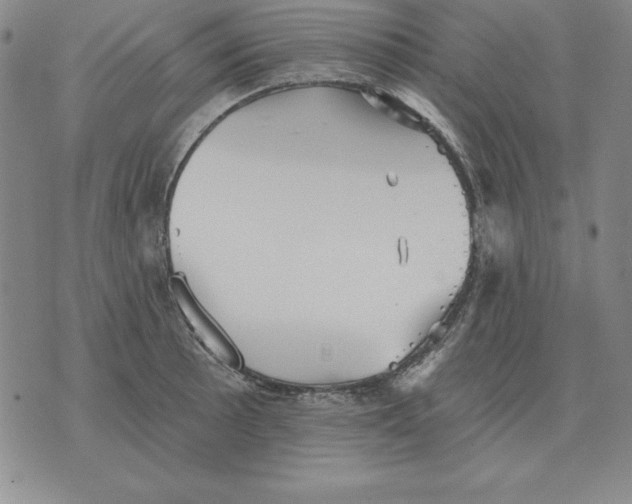 X0000076081089200610152246