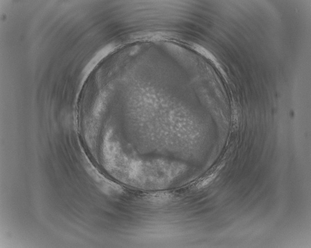 X0000076081090200610152246