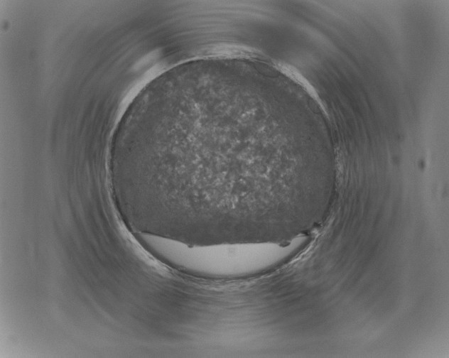 X0000076081091200610152246