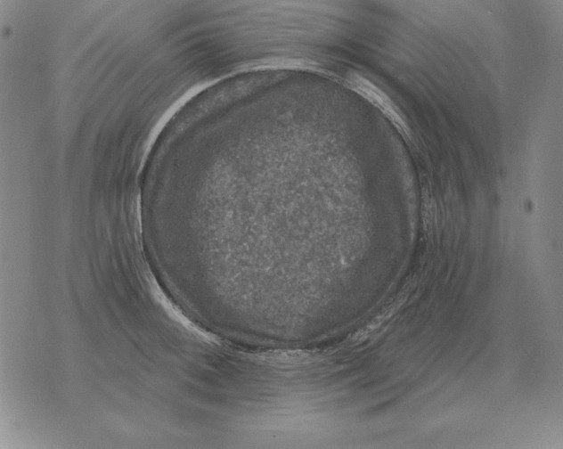 X0000076081092200610152246