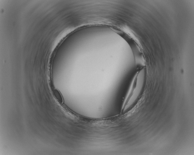 X0000076081093200610152246