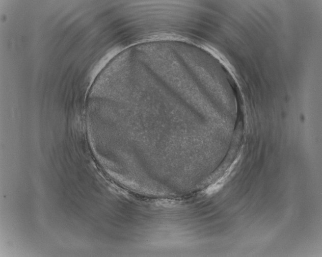 X0000076081097200610152246