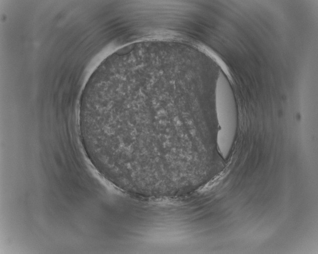 X0000076081099200610152246