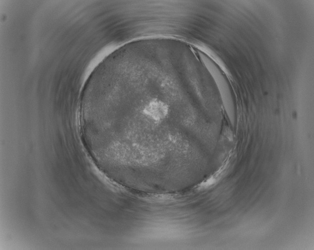 X0000076081101200610152246