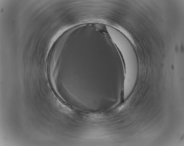 X0000076081102200610152246