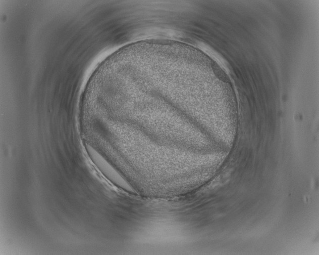 X0000076081104200610152246