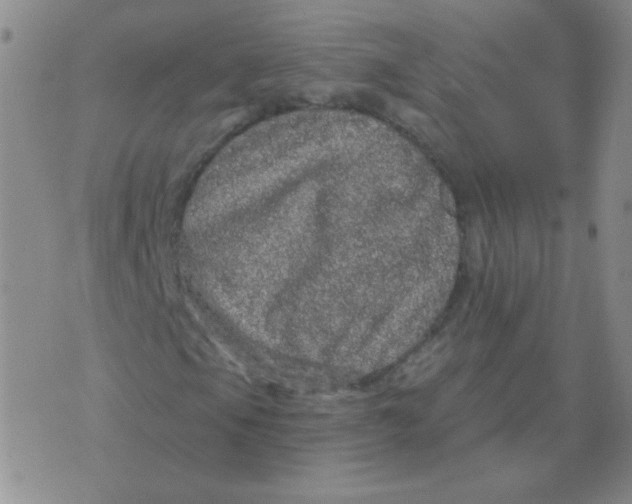 X0000076081105200610152245