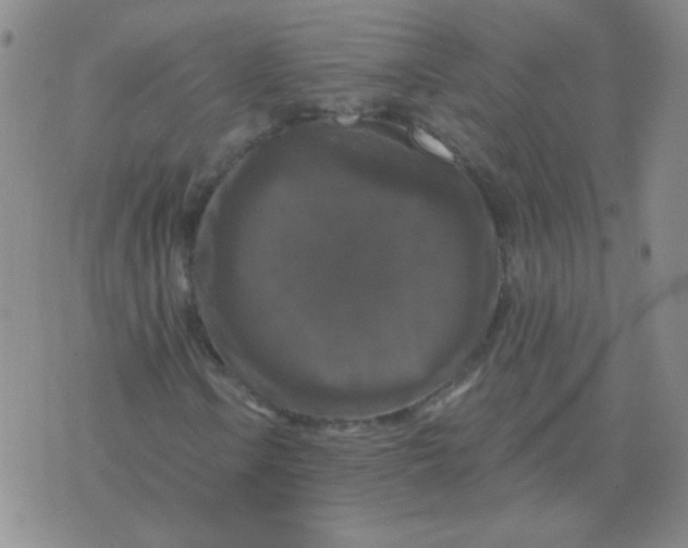 X0000076081106200610152245