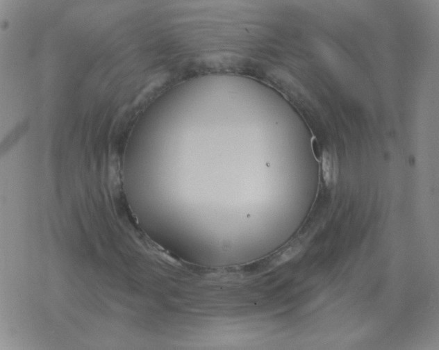 X0000076081107200610152246