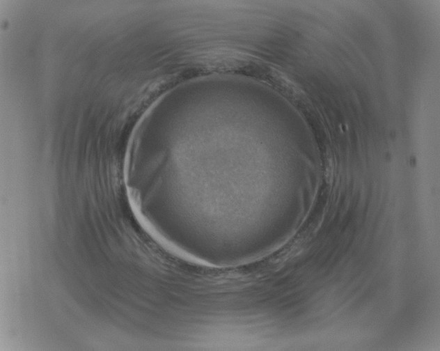 X0000076081108200610152246