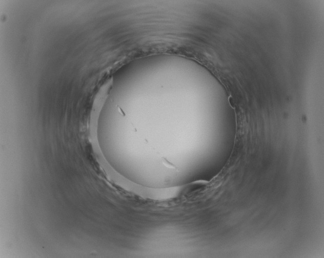 X0000076081109200610152246