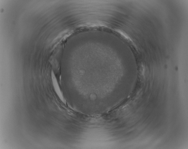 X0000076081110200610152246