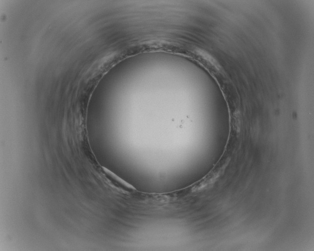 X0000076081111200610152246