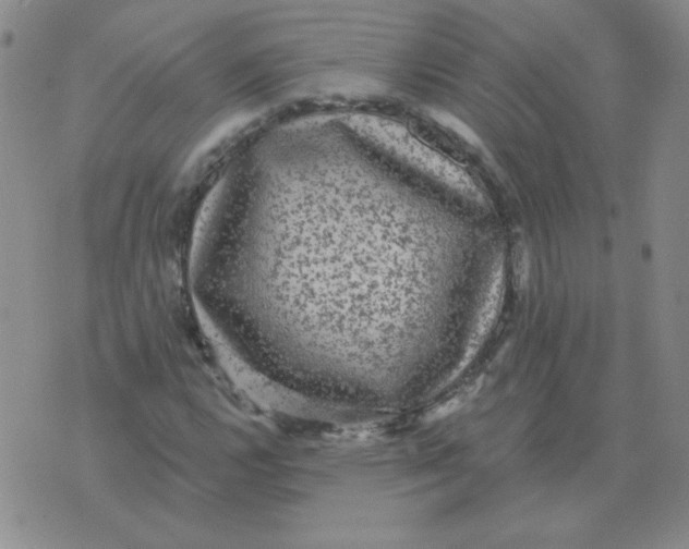 X0000076081112200610152246