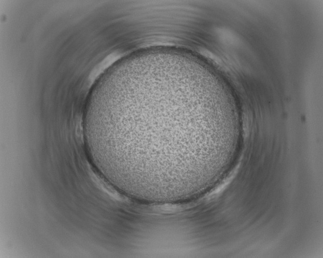 X0000076081113200610152246