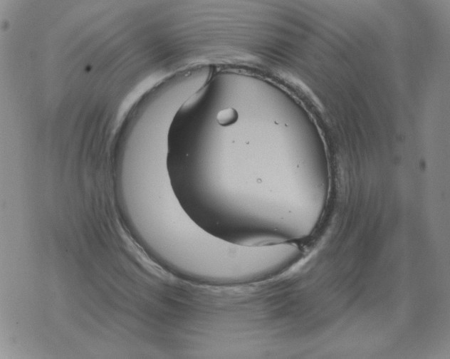 X0000076081114200610152246