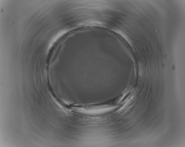 X0000076081115200610152246