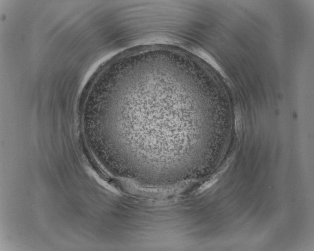 X0000076081116200610152246