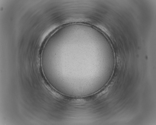 X0000076081119200610152246