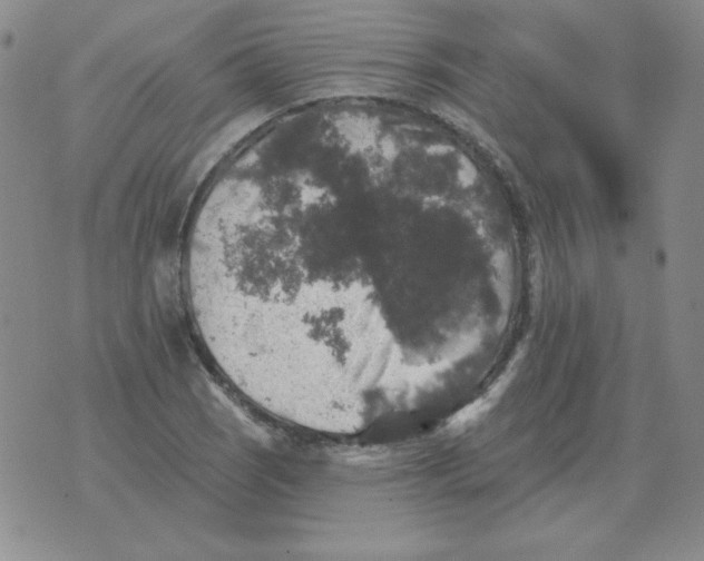 X0000076081121200610152246