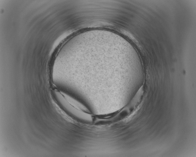 X0000076081122200610152246