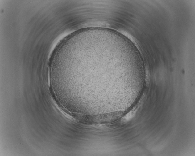 X0000076081123200610152246