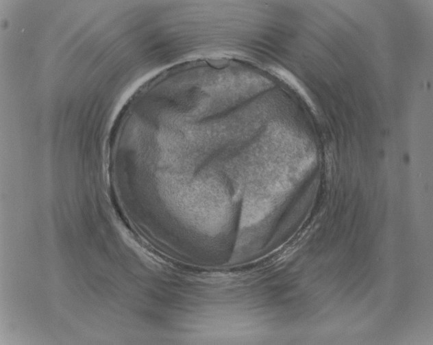 X0000076081124200610152246