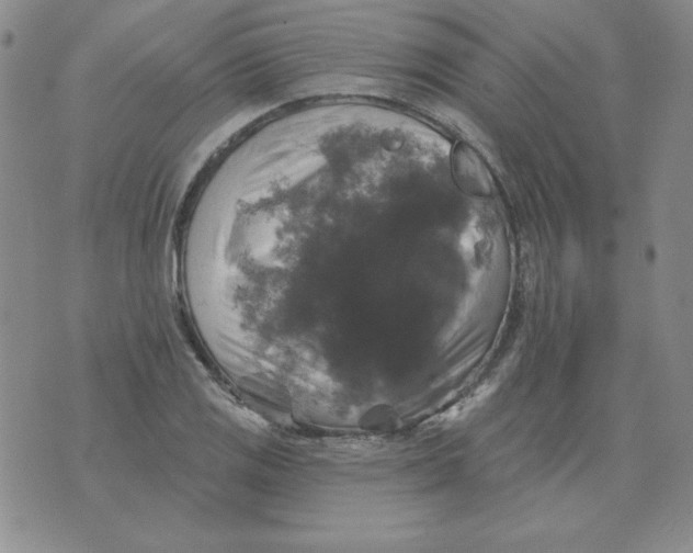 X0000076081125200610152246