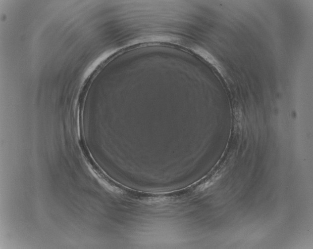 X0000076081127200610152246