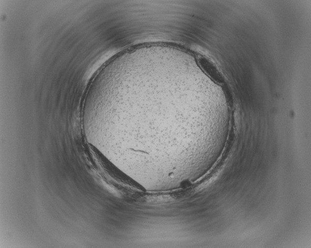 X0000076081129200610152246