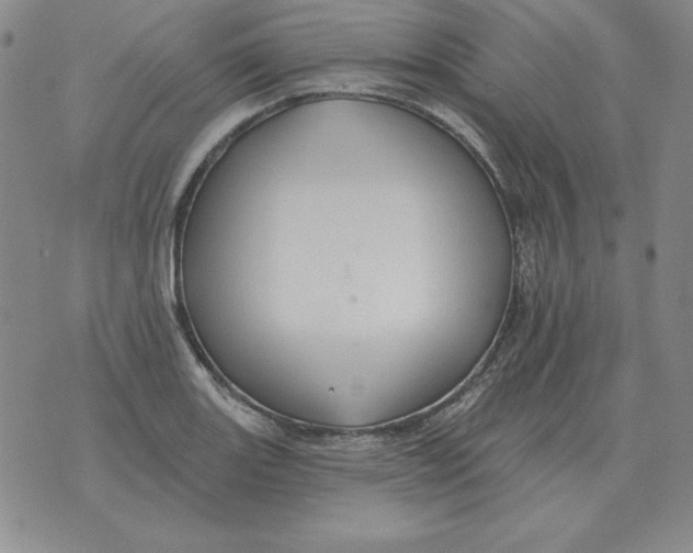 X0000076081131200610152246