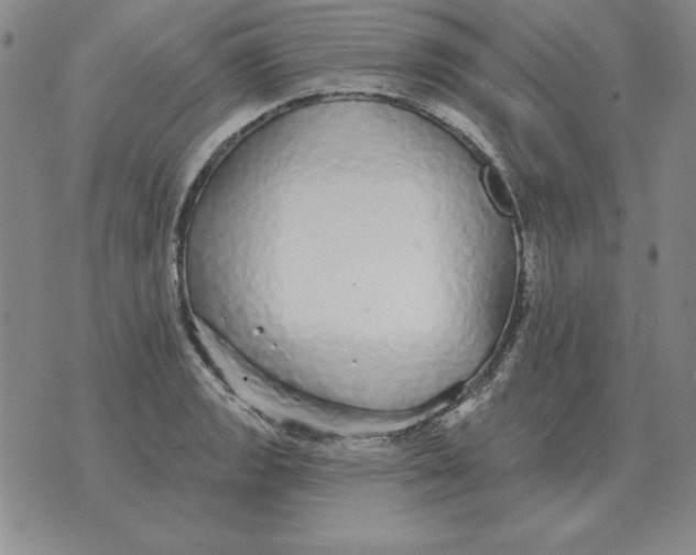 X0000076081133200610152246