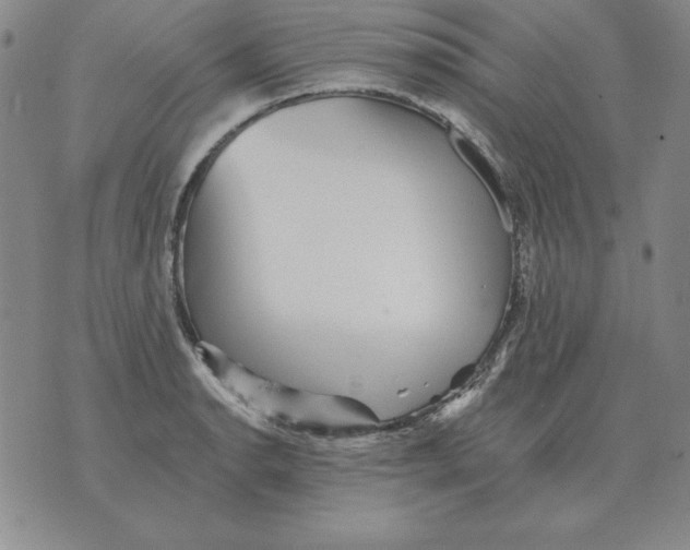 X0000076081134200610152246